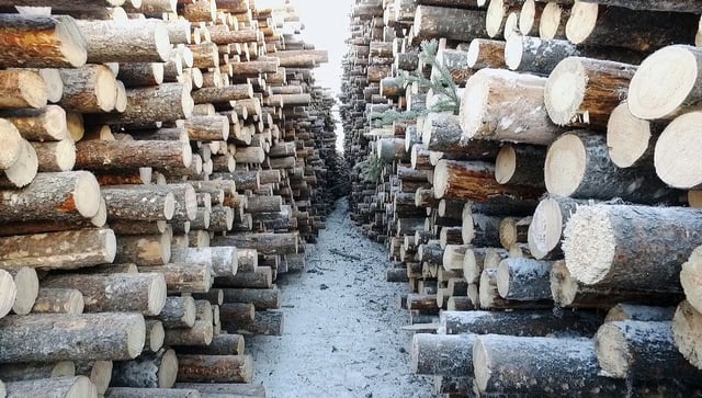 Scrap wood