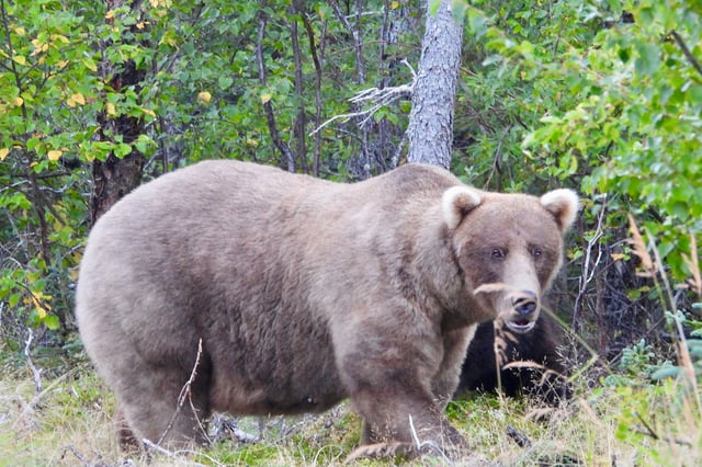 Grazer, taken on September 12, 2024 