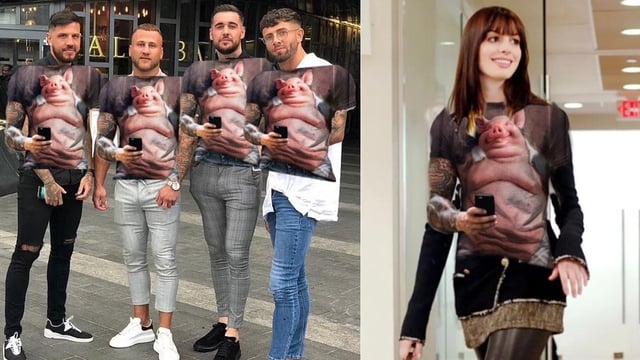 Where Did All The 'Temu Pig Shirt' Memes Come From? The Origins Of The Viral Twitter Ad-Turned-Meme Explained