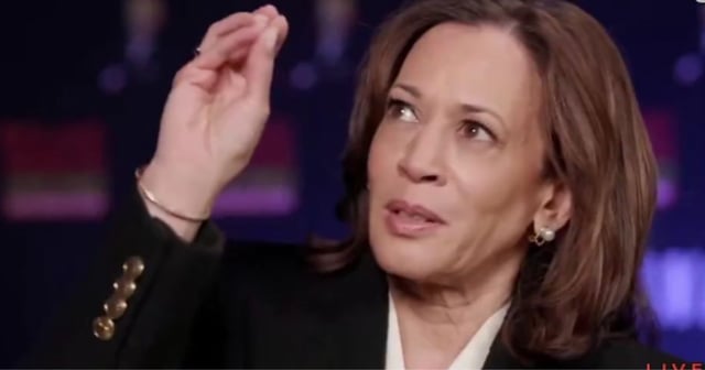 Vice President Kamala Harris appeared on "Roland Martin Unfiltered," which aired on Monday, and tried to relate former President Donald Trump's agenda to star alignment. (@_johnnymaga / X screen shot)