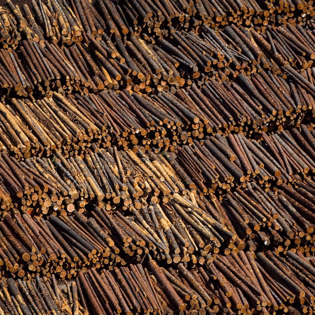 Logs are seen in an aerial view stacked at the Interfor sawmill, in Grand Forks, B.C., on May 12, 2018. A British Columbia First Nations leader says the province must rethink its approach to the forest industry in light of Canfor Corp.'s decision to shutter two sawmills and leave 500 workers without jobs. THE CANADIAN PRESS/Darryl Dyck