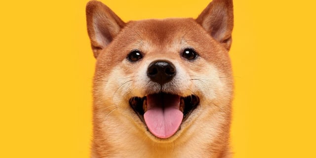 doge dogecoin dogecoin price elon musk breaking news Breaking Push Breaking Tag Pennsylvania