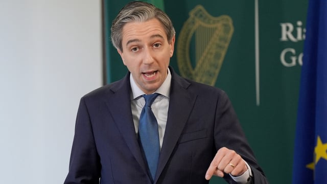 Simon Harris has transformed Fine Gael’s fortunes since taking office in April