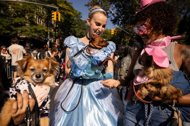 The  annual Tompkins Square Halloween Dog Parade in New York on Oct. 19.