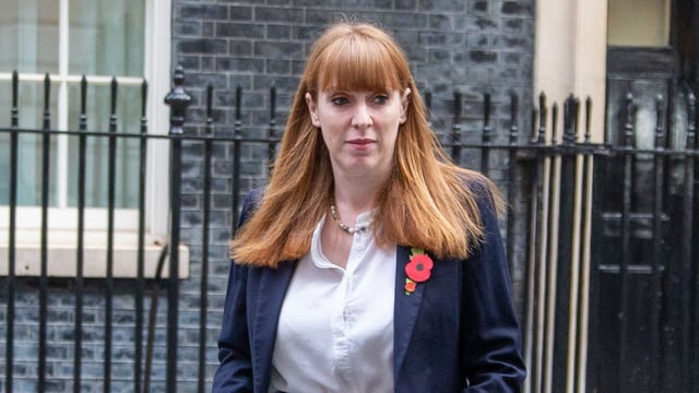 Angela Rayner has previously declared other donations of over £9,000 from Alli