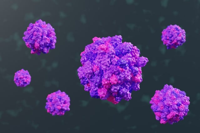 Purple and magenta molecules forming the shape of norovirus in dark background. 
Photographer: Dragon Claws
Provider: Getty Images
Source: iStockphoto