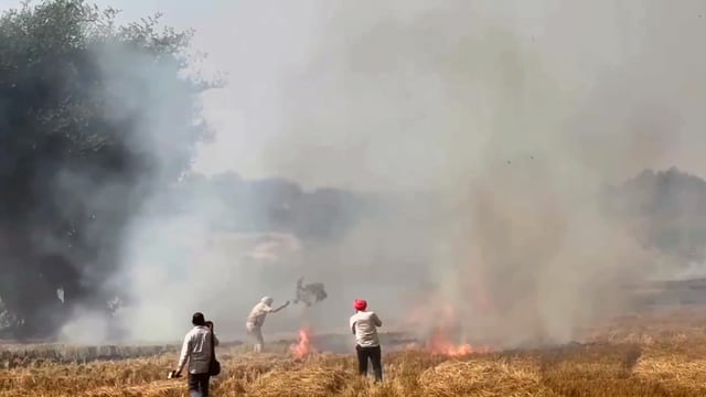 Firefighters and police personnel extinguishing the fire set by a farmer in paddy stubble in Gehri Bhagi village of Bathinda. (Sanjeev Kumar/HT)