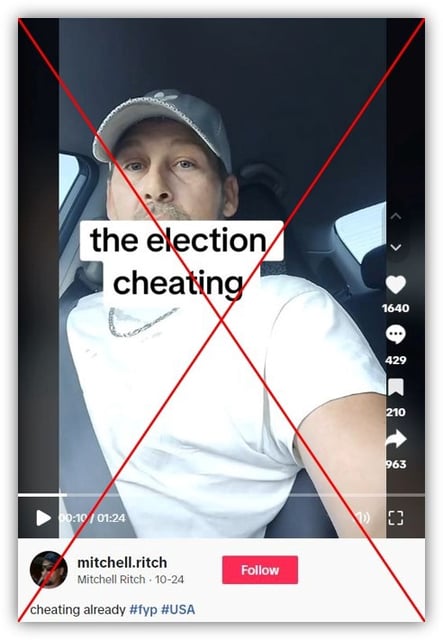 Screenshot from TikTok taken November 5, 2024