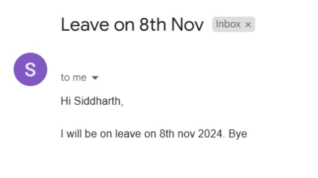 A Gen Z employee's leave application has polarised opinion online