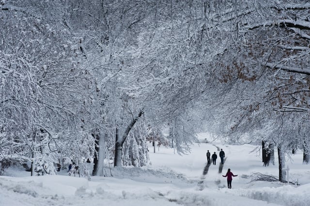 Snow