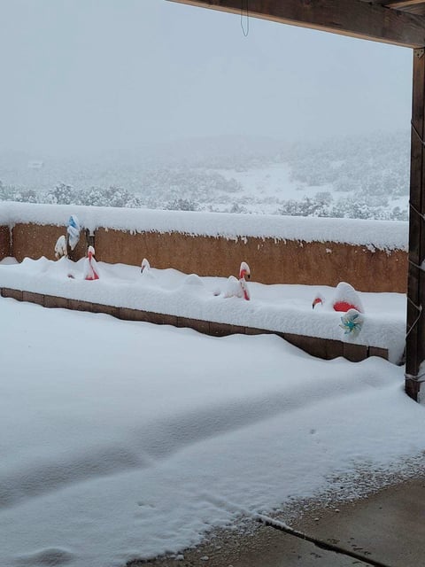 Flamingo lawn ornaments are blanketed in snow at Lisa Pieniazek's home in Sandia Park, New Mexico, as much of the state is dumped on by a potentially record-breaking winter storm on Nov. 7, 2024.