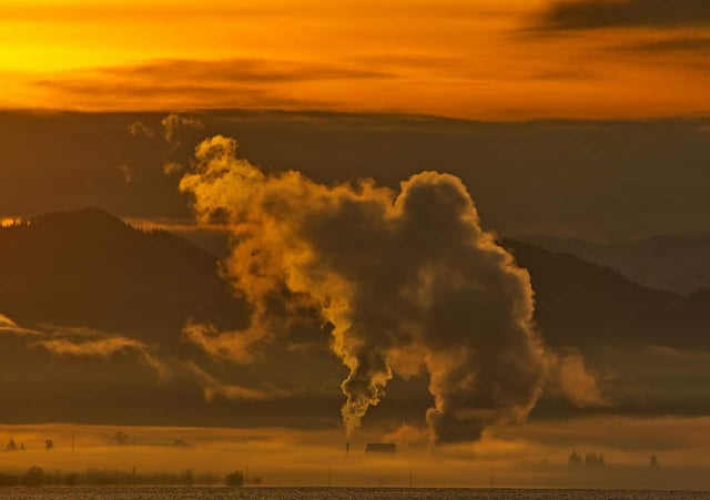 Data from hundreds of thousands of U.S. adults suggests that each zip code increase of 10 µm/m3 in PM2.5 levels is associated with a doubling in eczema rates among residents. Image Credit: Chris LeBoutillier, Unsplash