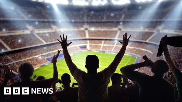 Fans in the stands of a stadium with the pitch visible in the background