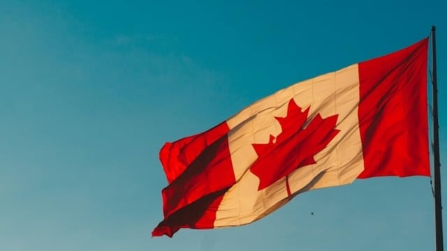 Here's what you need to know about Canada's 24-hours per week work policy for international students. Check eligibility and other important points to remember. (Photo credit: Unsplash)