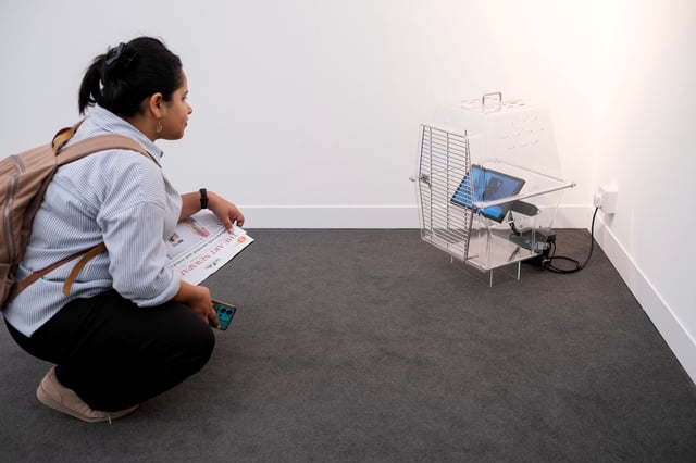 Wantanee Siripattananuntakul's work was focused around his pet parrot, Beuys.