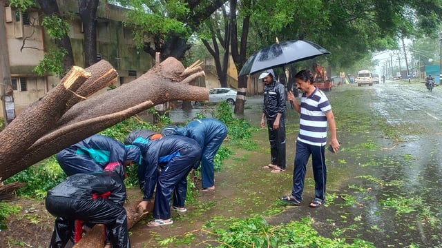 Cuddalore: Disaster response force personnel remove uprooted trees from a road amid rain after landfall of Cyclone Fengal, in Cuddalore, Tamil Nadu on Sunday.
