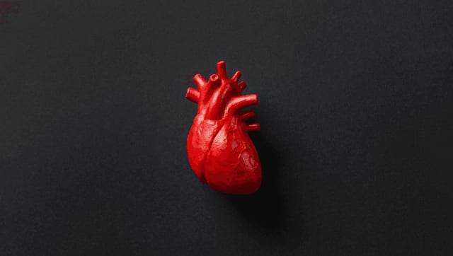 How Can Hearts Beat Outside The Body? It Could Be Their “Little Brains”