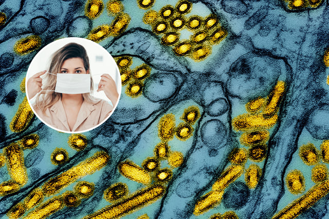 Bird flu and person with mask