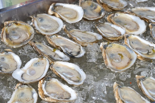 Oysters Recall