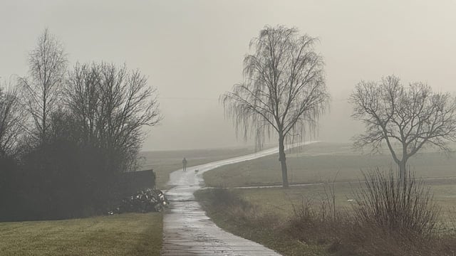 Es gab Schnee, es gab Eisregen. Es war mal so richtig Winter. Jetzt ist Schluss!