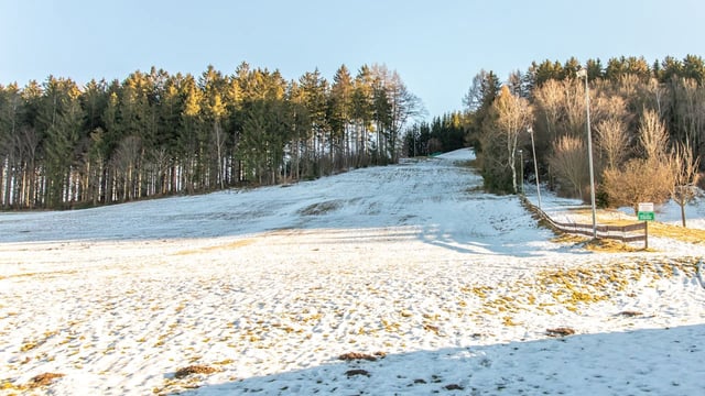Bei bis zu 15 Grad wachsen erste Frühblüher. Wie das Wetter jetzt wird!