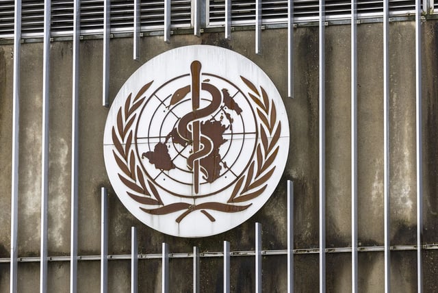 A logo is pictured at the World Health Organisation (WHO) in Geneva, Switzerland, December 14, 2022.