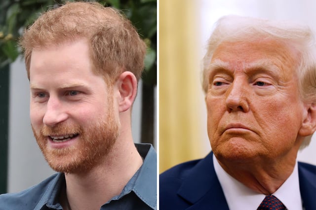 Prince Harry and Donald Trump Headshots
