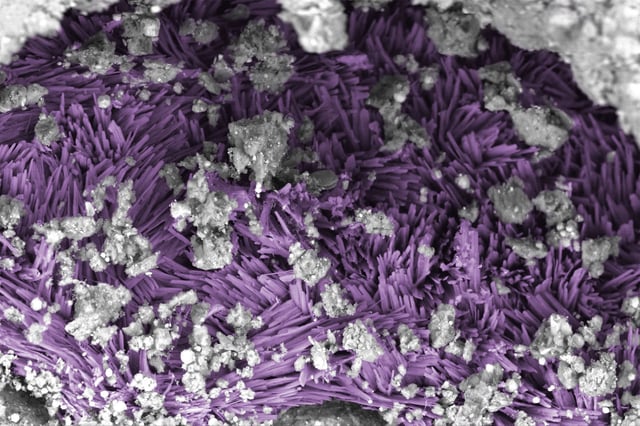 A vein of sodium carbonate appears like needles, falsely colored in purple to show detail, within the clay-rich rock of the Bennu sample. Each needle is less than 1 micrometer wide.