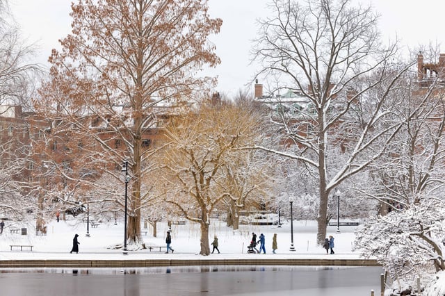 Boston Snow