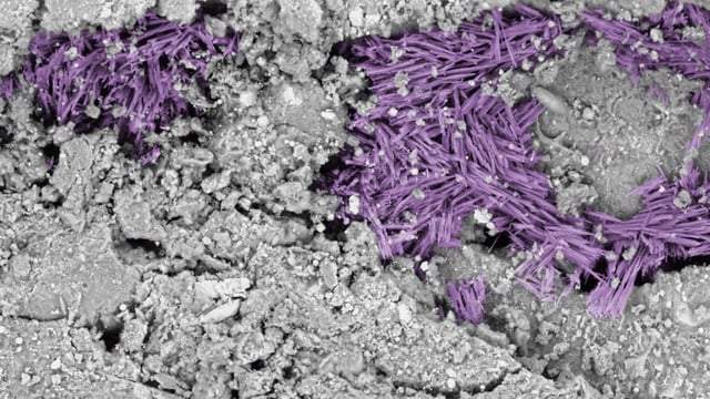 Microscope image showing crystals of hydrated sodium carbonate (purple highlights) in a sample of material from asteroid Bennu