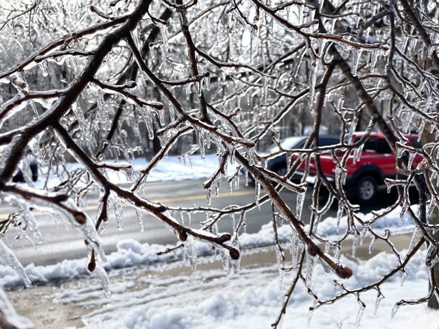 Ice covers tree branches on Norton Street in South Berwick, Maine, on March 24, 2024, following an ice storm that knocked out power for thousands.