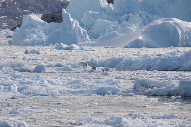 En Arctique, où l’hiver est très anormalement chaud, la banquise a atteint sa plus faible étendue pour un mois de janvier.