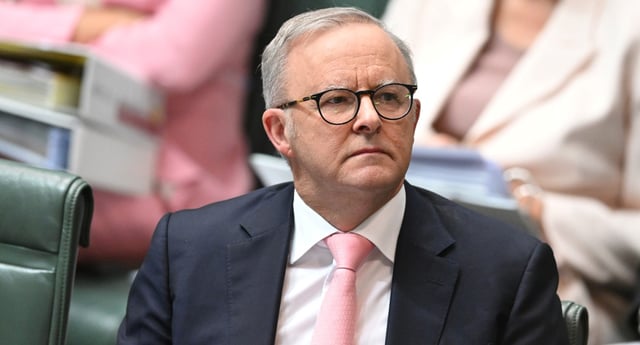 Anthony Albanese (Image: AAP/Lukas Coch)