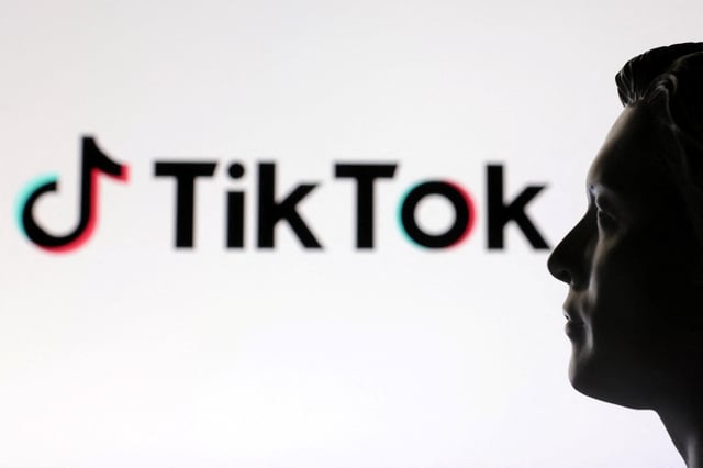 A 3D-printed miniature model of Elon Musk and the TikTok logo are seen in this illustration taken January 23, 2025. REUTERS/Dado Ruvic/Illustration/File Photo