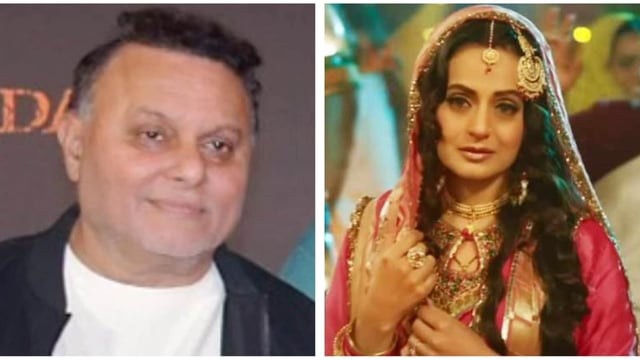 Gadar 2 director Anil Sharma has reacted to actor Ameesha Patel's complaints on the film.