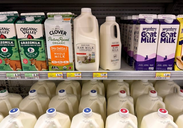 SAN ANSELMO, CALIFORNIA – NOVEMBER 25: Raw Farm raw milk containers are displayed on a shelf at a grocery store on November 25, 2024, in San Anselmo, California. Fresno County dairy Raw Farm has recalled its cream top raw milk after bird flu virus was found in a retail sample of the raw milk product over the weekend. Consumers should avoid milk consumption and are encouraged to return the product to the store where it was purchased. (Photo by Justin Sullivan/Getty Images)