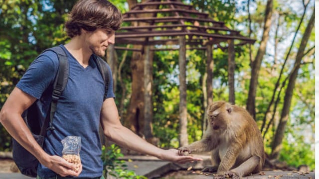 Healing Pavilion is an interactive zoo where visitors can engage with animals.