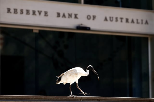 An ibis bird perches next to the Reserve Bank of Australia headquarters in central Sydney, Australia February 6, 2018. REUTERS/Daniel Munoz/File Photo