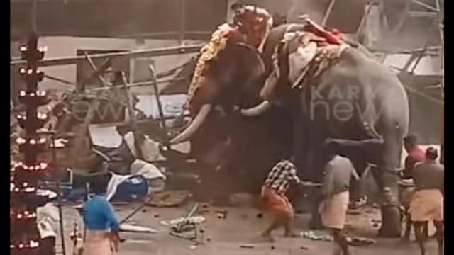 A grab of a video that purportedly shows one elephant charging at the other on Thursday. (HT Photo)