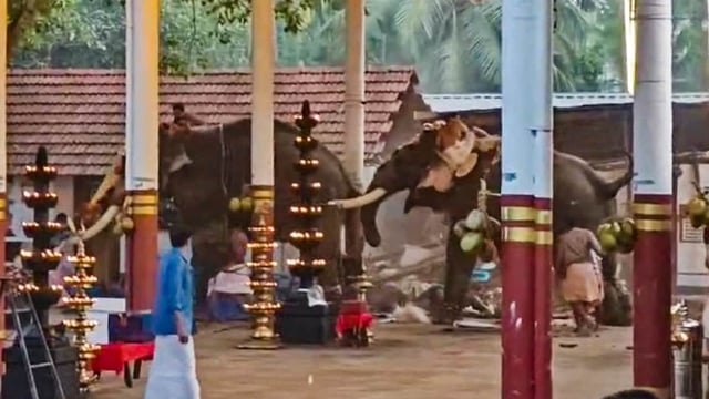  The elephants that went berserk during a temple festival at Manakkulangara Bhagavathi Temple, at Koyilandy in Kozhikode district, Kerala. At least 3 people were killed in the incident, according to officials.