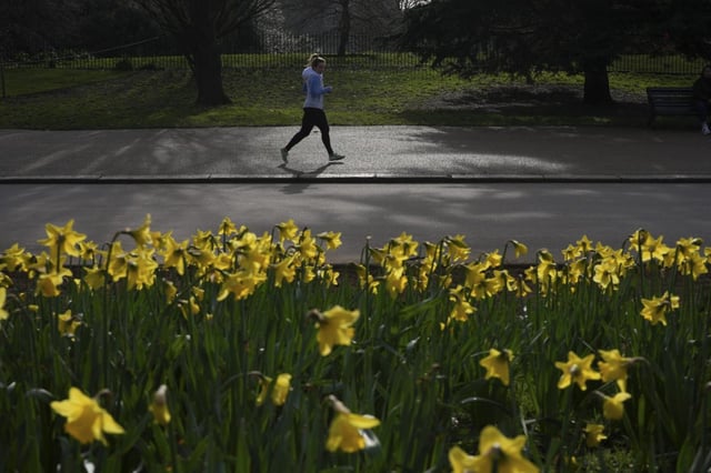 The jump in temperature is not uncommon as spring approaches, the Met Office said (Photo: Kin Cheung/AP)