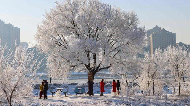 This photo taken on January 12, 2025 shows people gathering to see frost-covered trees on the bank of Songhua River in China's Jilin. (Representational Photo)
