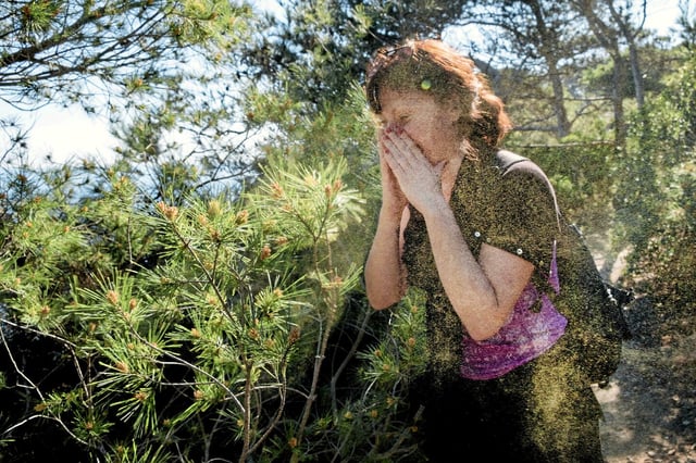 La fatigue, les maux de tête, la perte de concentration, les arrêts de travail sont à mettre sur le dos des allergies respiratoires.
