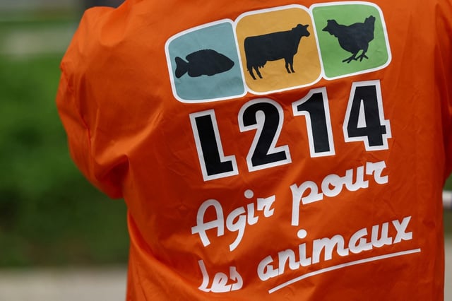 L’association L214 a porté plainte pour «mauvais traitements commis par un professionnel» auprès des parquets du Mans et de Quimper.