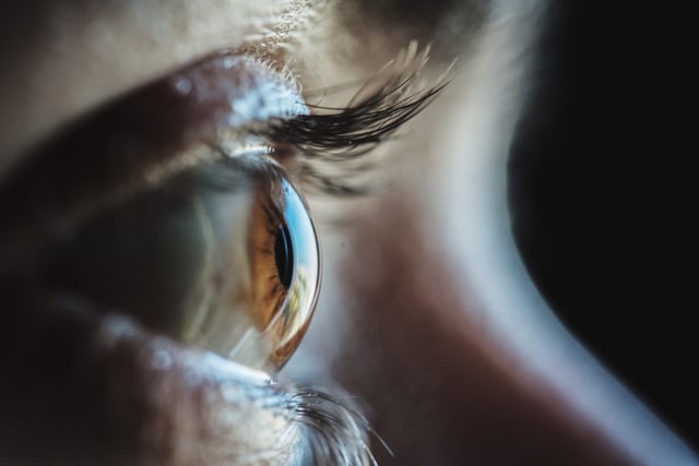 A stock image of the human eye