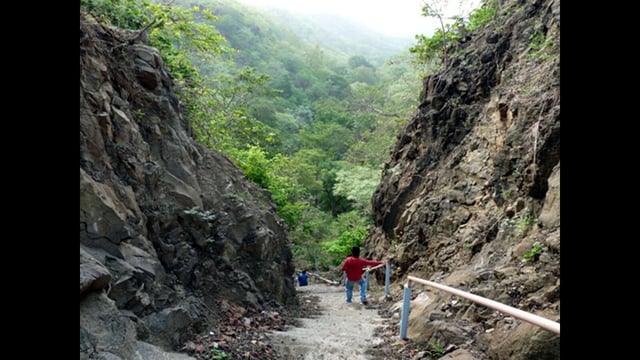 The Compensatory Afforestation Fund Management and Planning Authority, helps manage funds collected from developers who convert forest land to non-forest uses. (HT PHOTO)