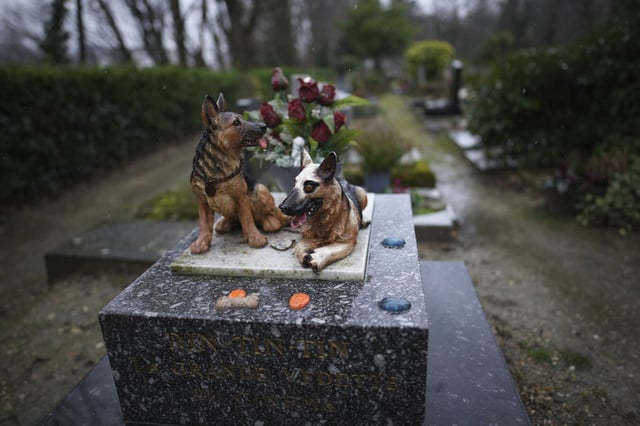 Sculptures are seen at the dog cemetery in Asnières-sur-Seine, outside Paris, Tuesday, Feb. 25, 2025. (AP Photo/Christophe Ena)