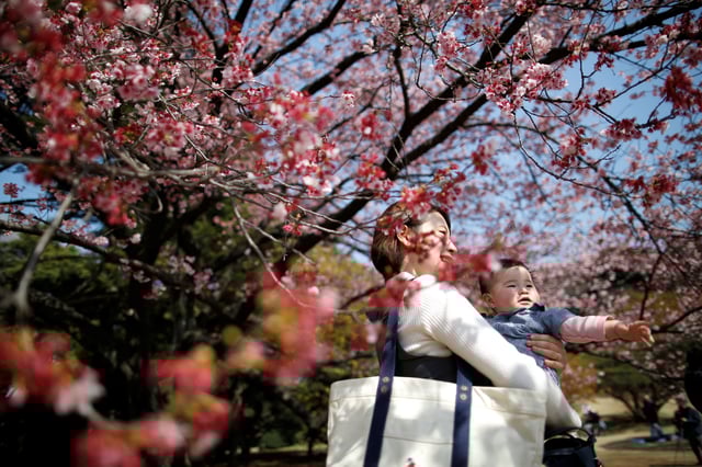 A seven-month-old baby and her mother look at early flowering Kanzakura cherry blossoms in full bloom at the Shinjuku Gyoen National Garden in Tokyo, Japan March 14, 2018.  REUTERS/Issei Kato/ File Photo
