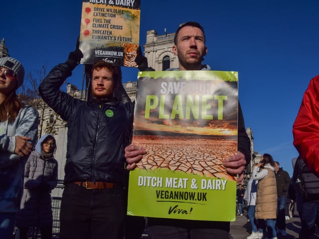 LONDON, UNITED KINGDOM - 2023/11/25: A protester holds a placard encouraging people to stop consuming meat and dairy to save the planet during the demonstration. Vegan activists staged a rally in Parliament Square ahead of COP28 calling on the government to shift to a plant-based diet as part of their climate commitments. (Photo by Vuk Valcic/SOPA Images/LightRocket via Getty Images)