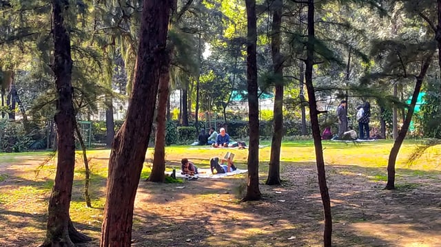 Picnic under the tree shades in Lodhi Garden Lawns as temperatures rise in Delhi
